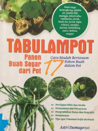 Image of TABULAMPOT